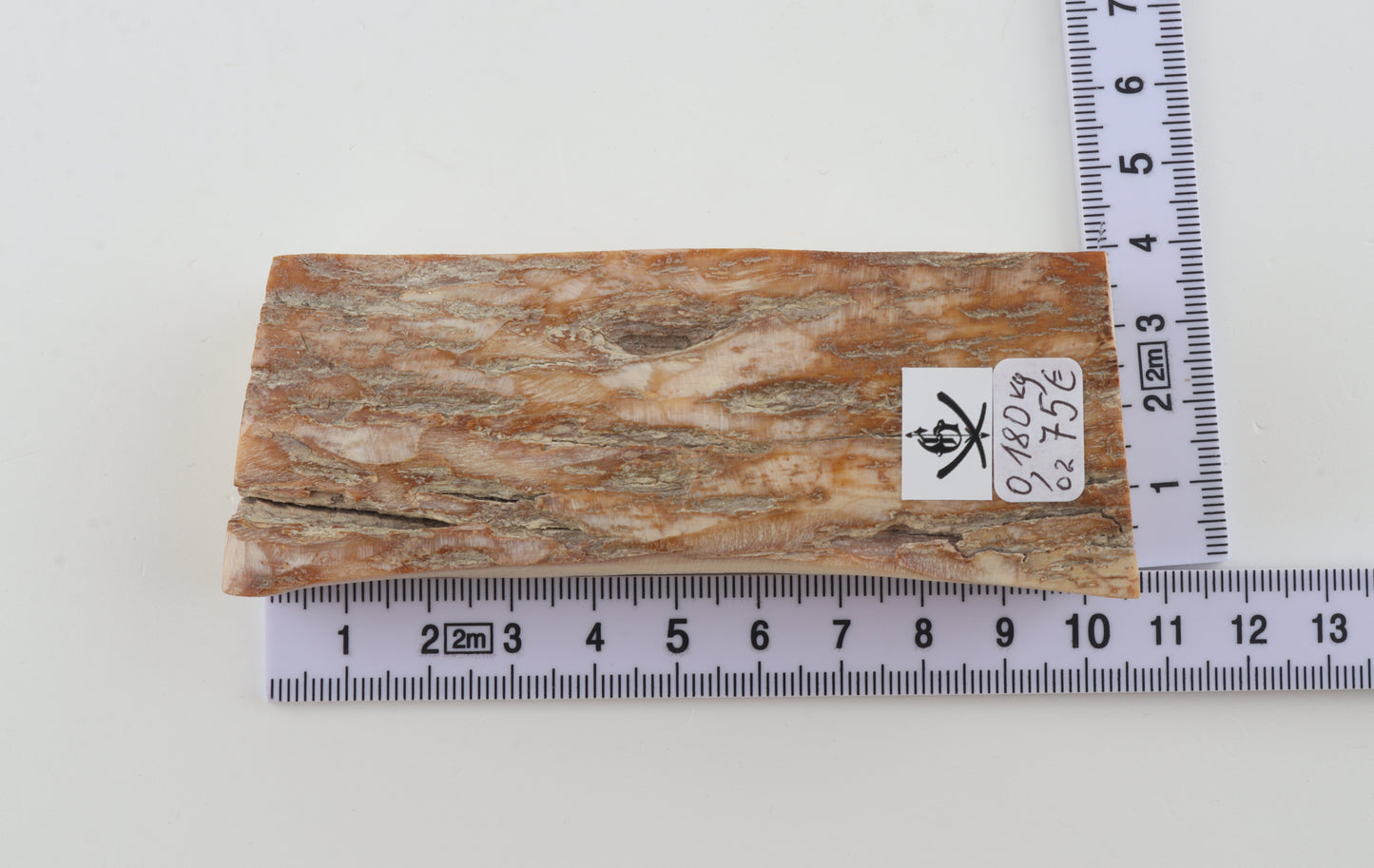 Natural mammoth ivory piece