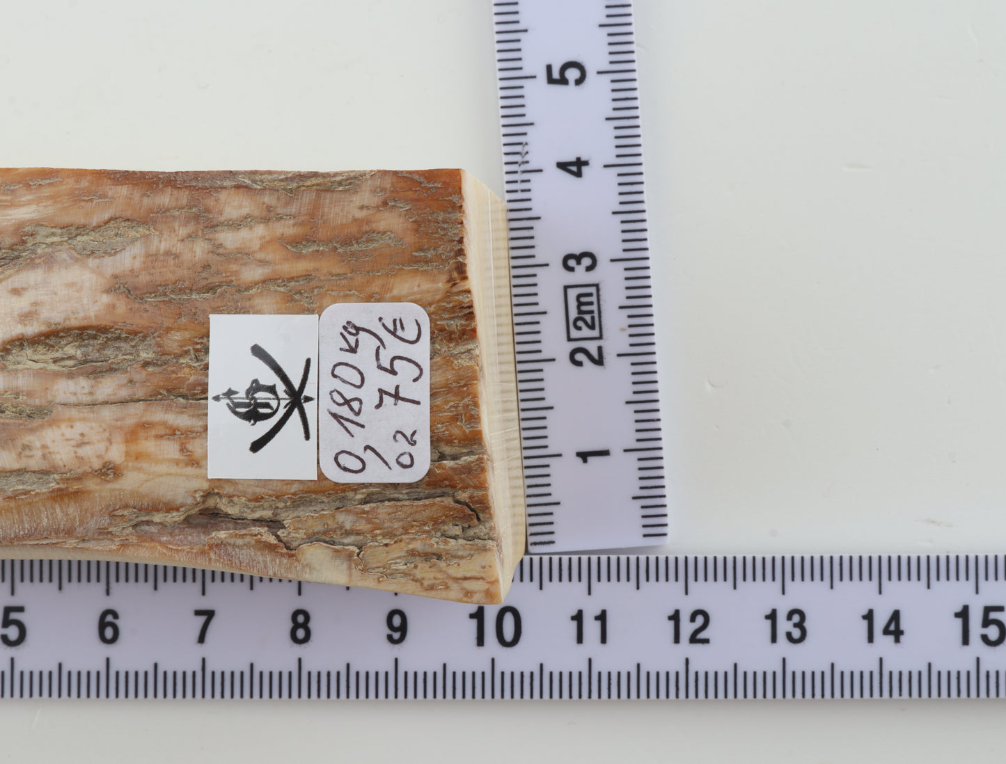 Natural mammoth ivory piece