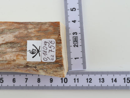 Natural mammoth ivory piece