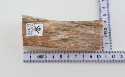 Natural mammoth ivory piece