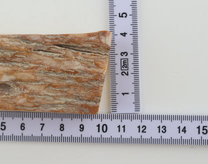 Natural mammoth ivory piece