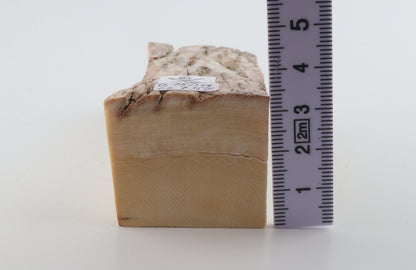 Natural mammoth ivory piece