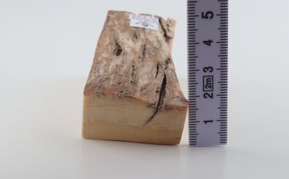 Natural mammoth ivory piece