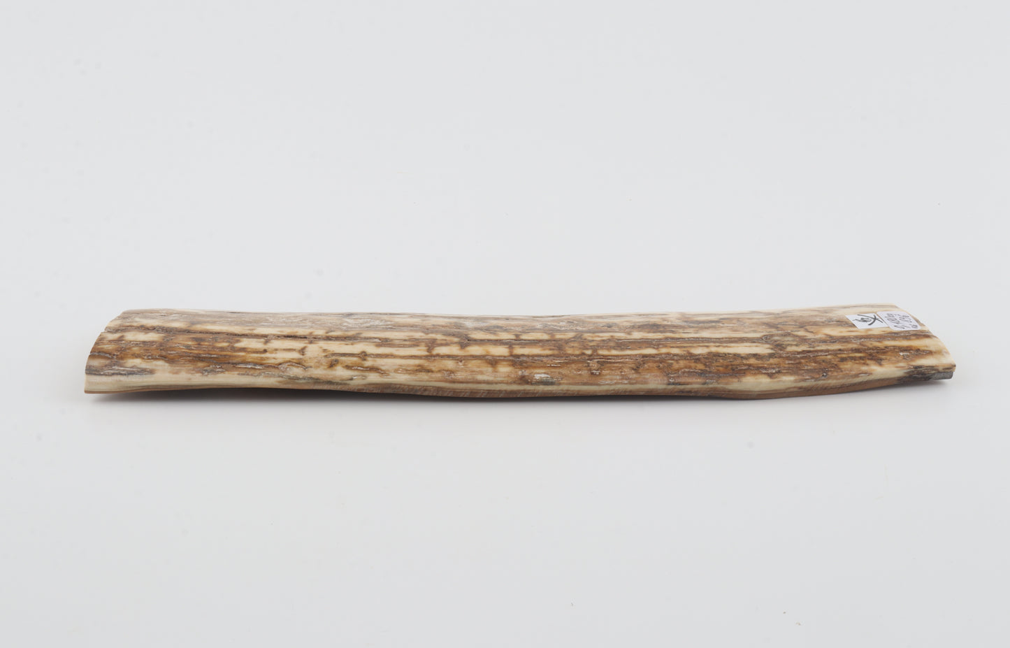 Beige-creme mammoth bark