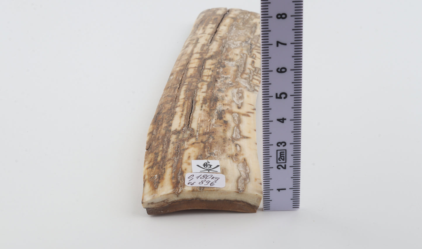 Beige-creme mammoth bark