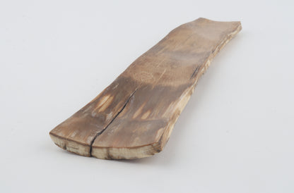 Beige-creme mammoth bark