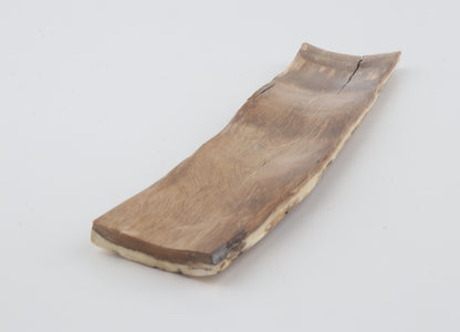Beige-creme mammoth bark