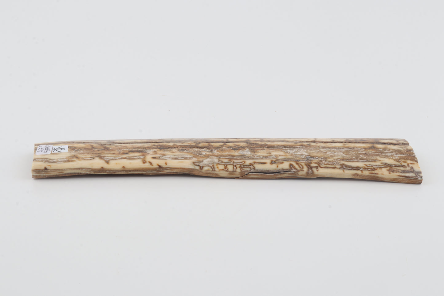 Beige-creme mammoth bark