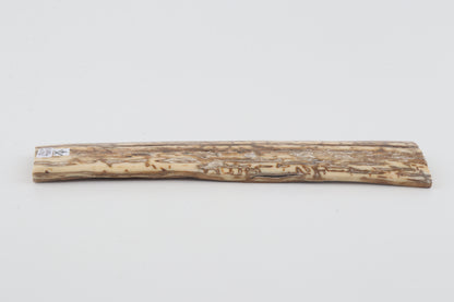 Beige-creme mammoth bark