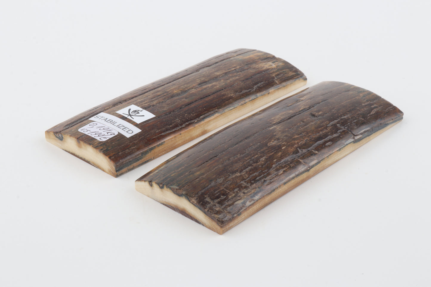 Stabilized mammoth bark scales