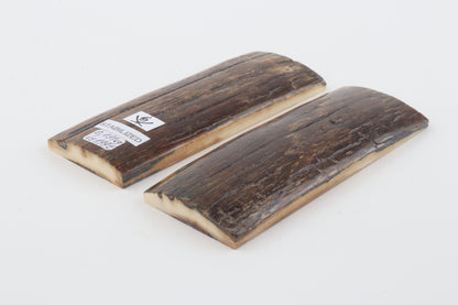 Stabilized mammoth bark scales