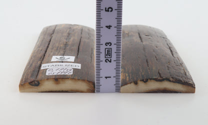 Stabilized mammoth bark scales