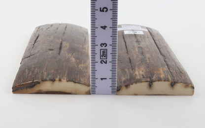 Stabilized mammoth bark scales