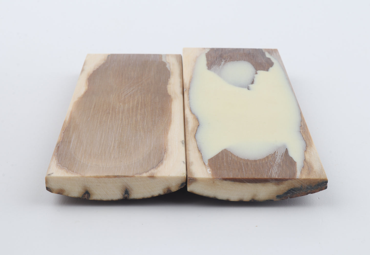 Stabilized mammoth bark scales