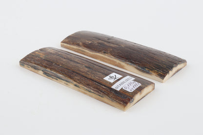 Stabilized mammoth bark scales