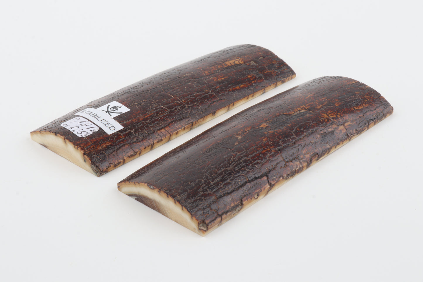Stabilized mammoth bark scales