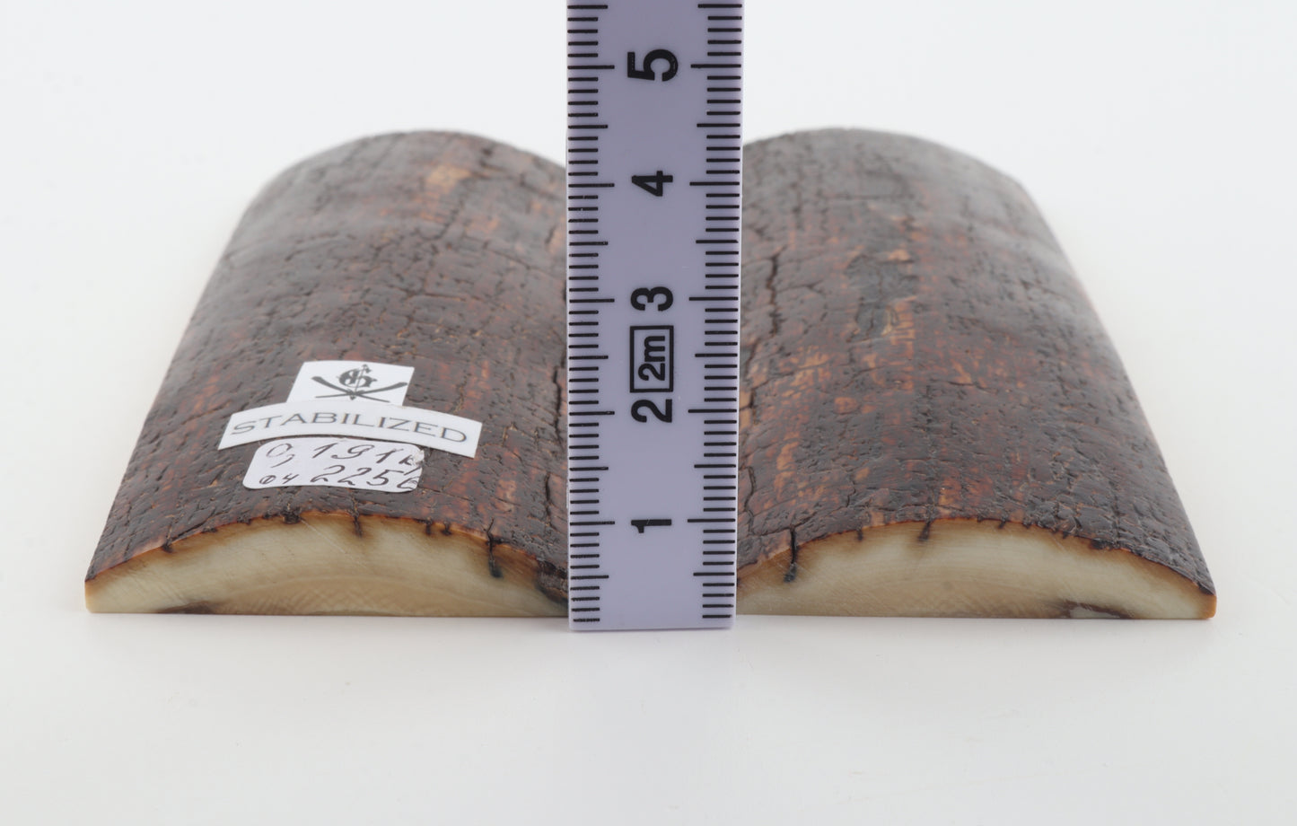 Stabilized mammoth bark scales