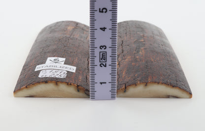 Stabilized mammoth bark scales