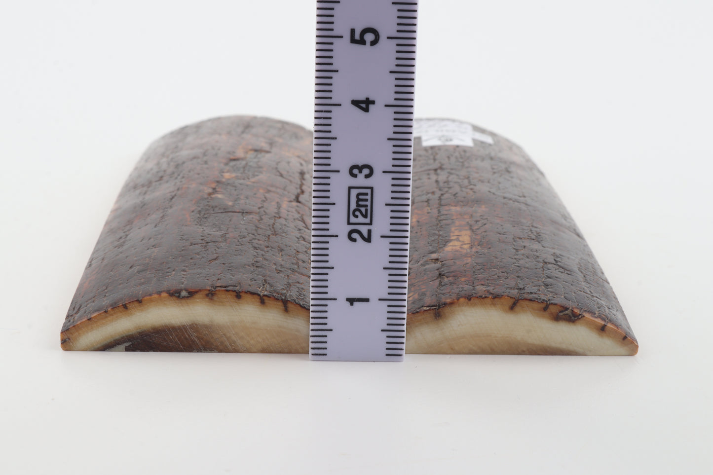 Stabilized mammoth bark scales