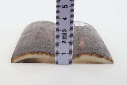 Stabilized mammoth bark scales
