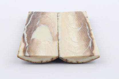 Stabilized mammoth bark scales
