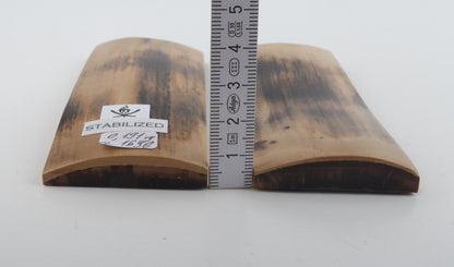 Stabilized mammoth bark scales