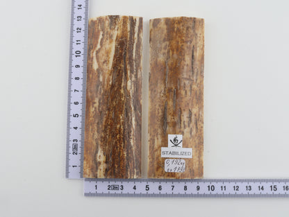 Stabilized mammoth bark scales