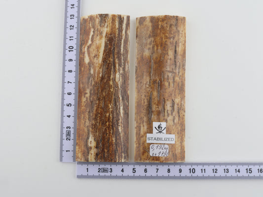 Stabilized mammoth bark scales