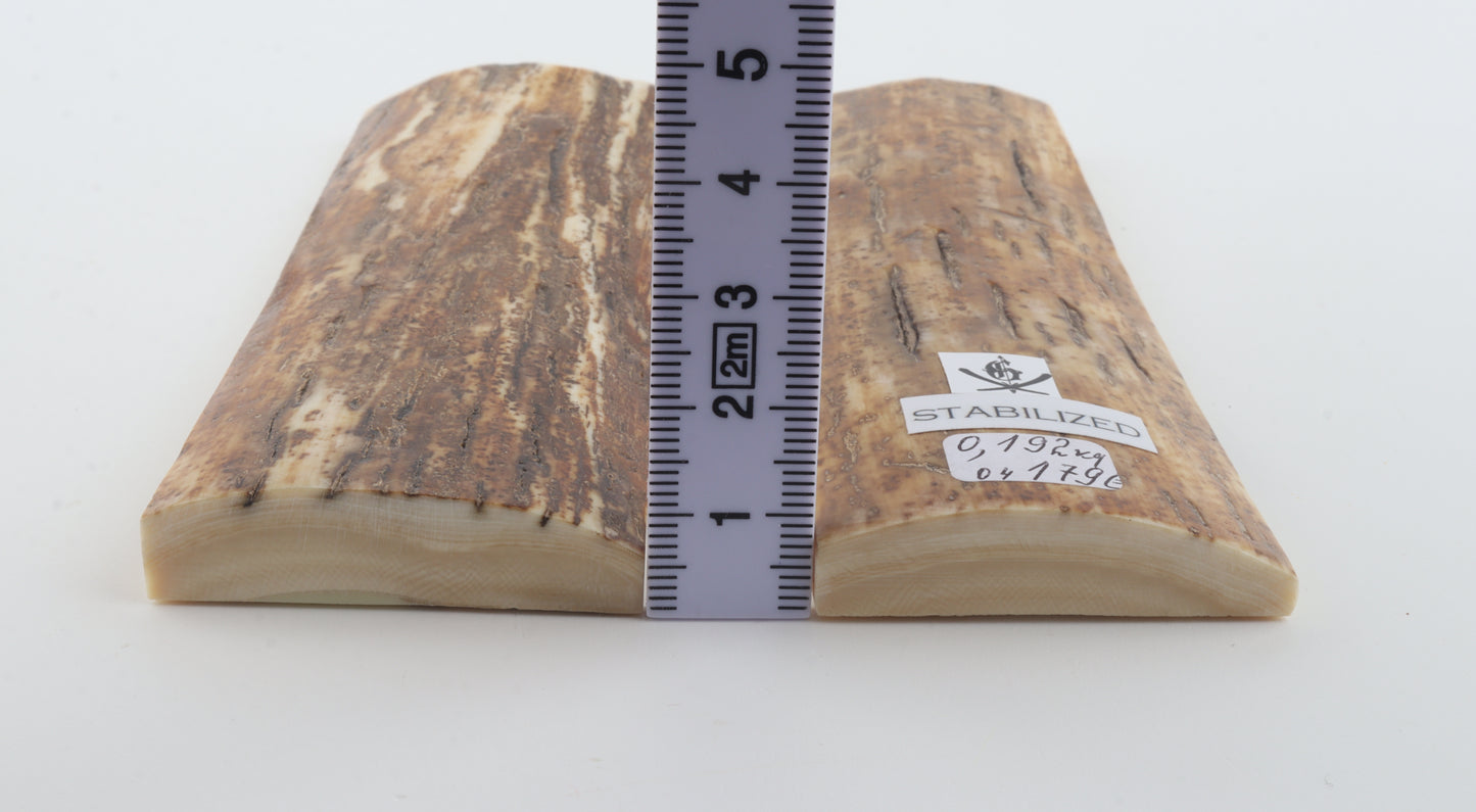 Stabilized mammoth bark scales