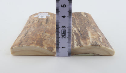Stabilized mammoth bark scales