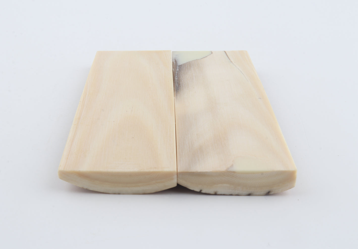 Stabilized mammoth bark scales
