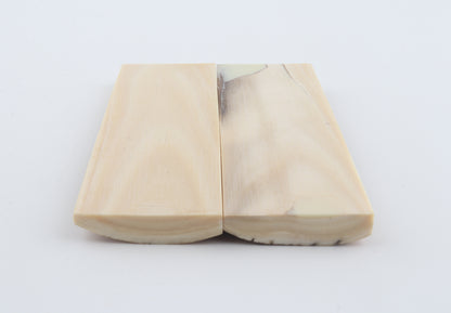 Stabilized mammoth bark scales