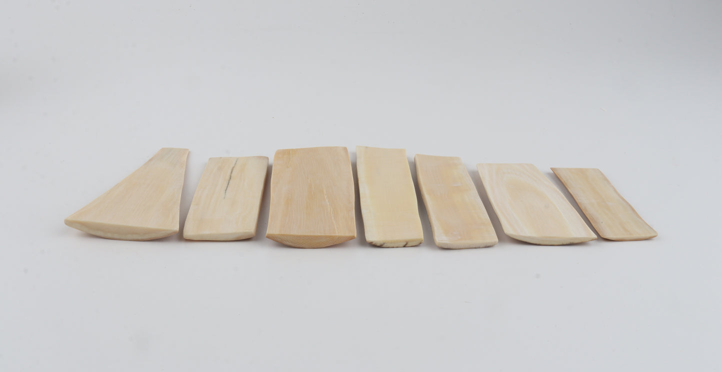 Natural mammoth bark pieces