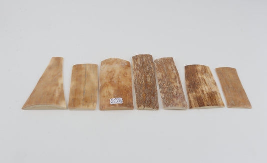 Natural mammoth bark pieces