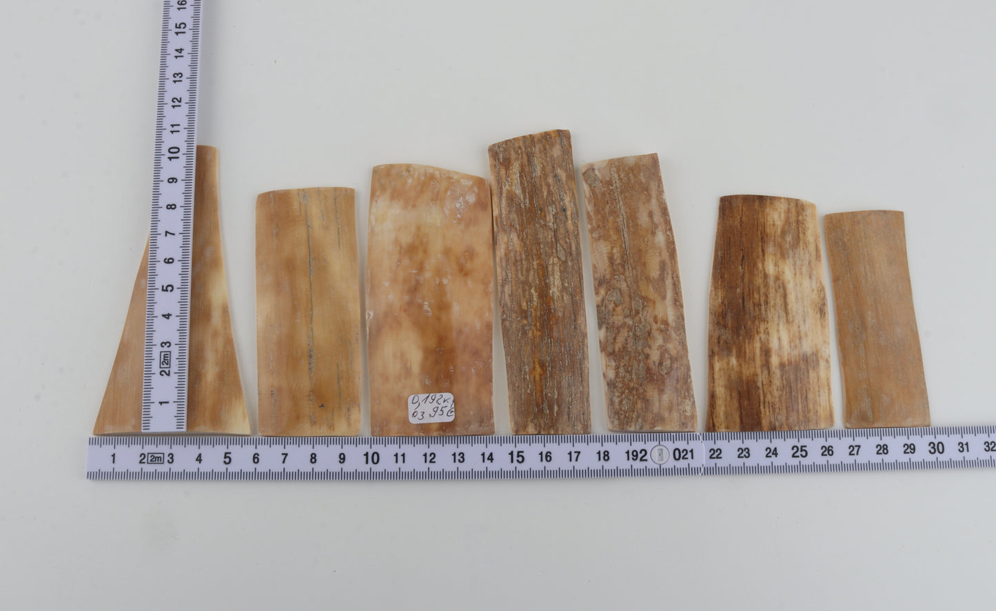 Natural mammoth bark pieces