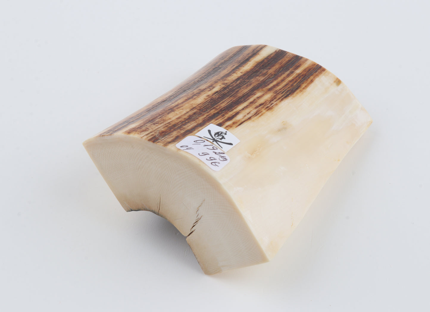 Natural mammoth ivory piece