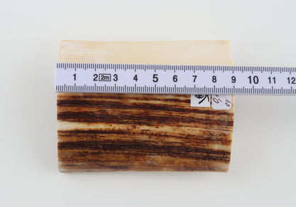 Natural mammoth ivory piece