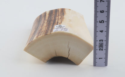 Natural mammoth ivory piece