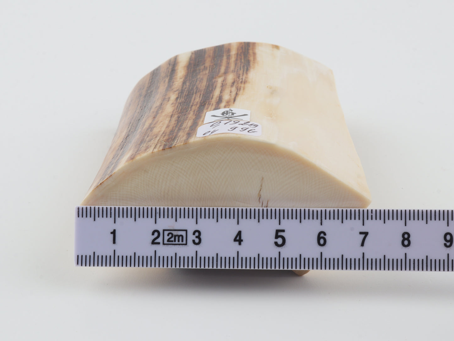 Natural mammoth ivory piece