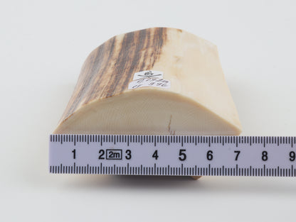 Natural mammoth ivory piece