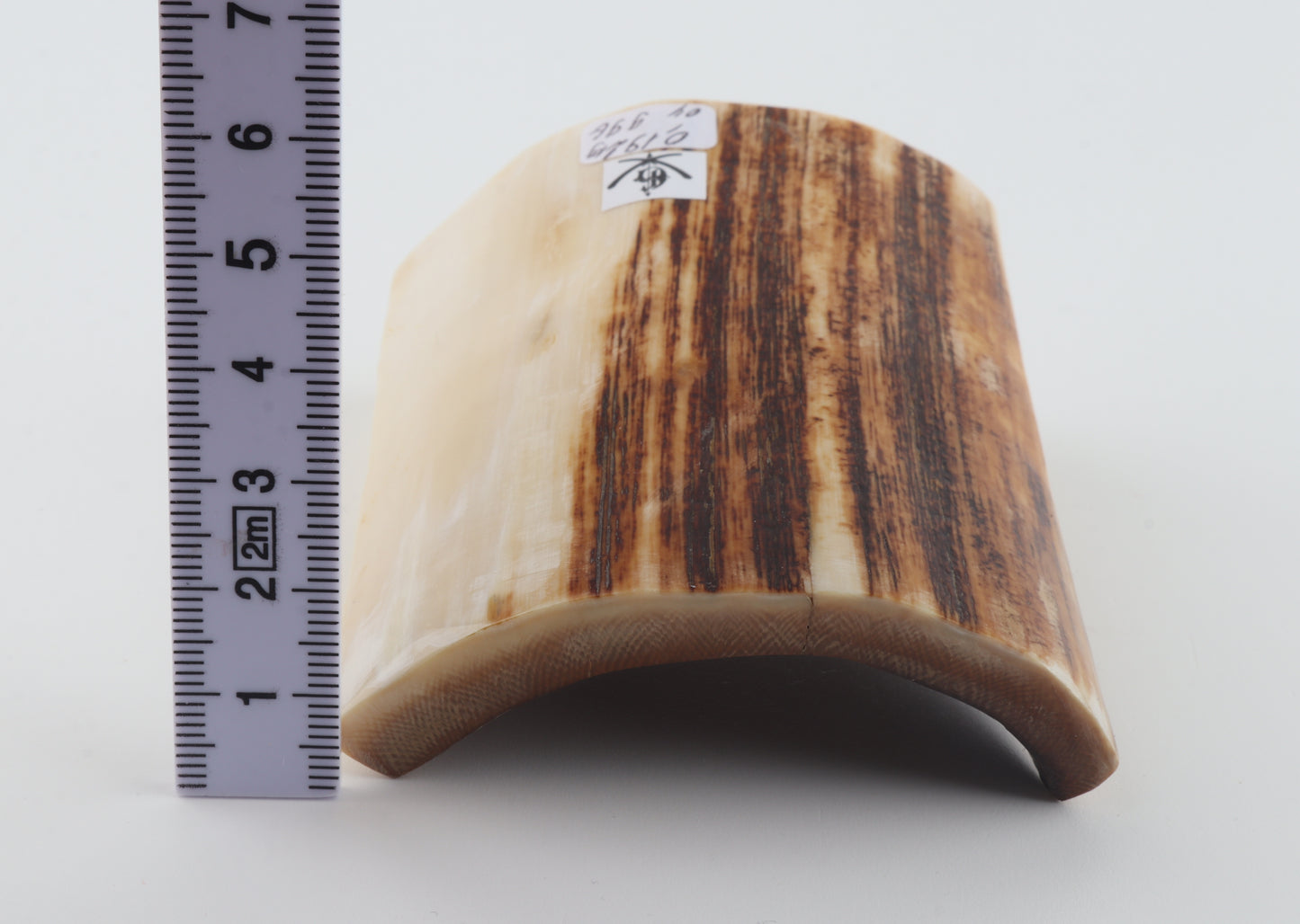 Natural mammoth ivory piece
