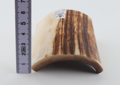 Natural mammoth ivory piece
