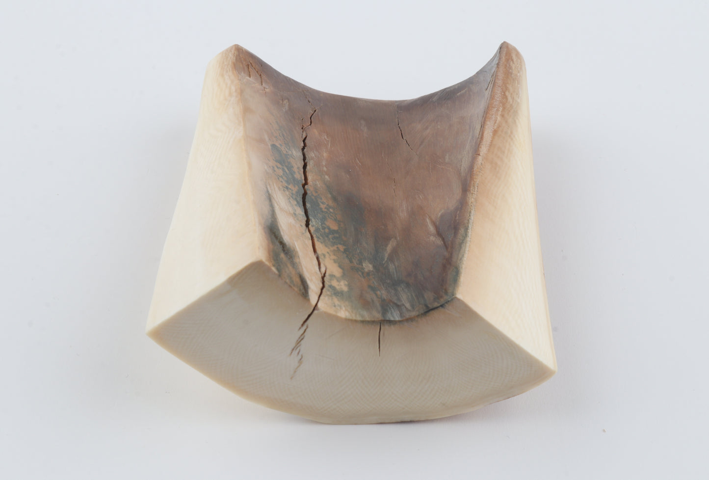 Natural mammoth ivory piece