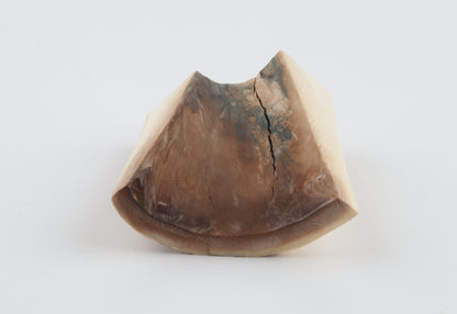 Natural mammoth ivory piece