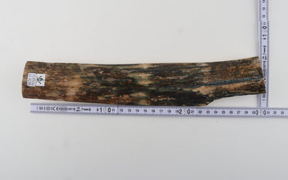 Natural woolly mammoth bark