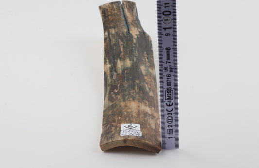 Natural woolly mammoth bark