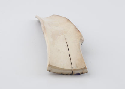 Natural woolly mammoth bark
