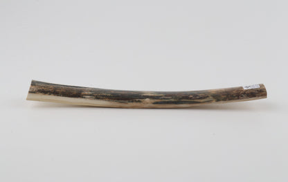 Natural woolly mammoth bark