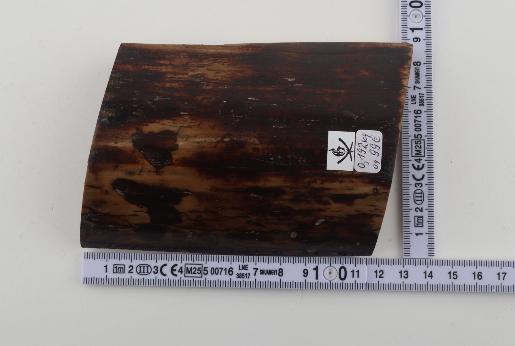 Brown mammoth bark