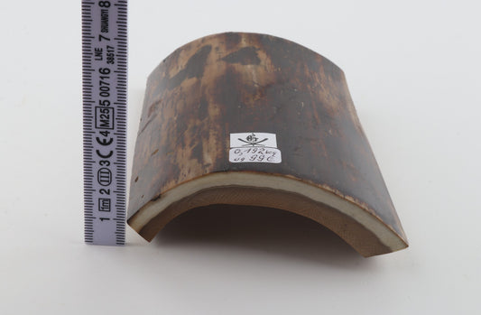 Brown mammoth bark